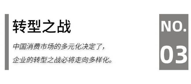：2025家居头部企业“攻守”“危机”论Bsport体育最新网址家居生态G20(图10)